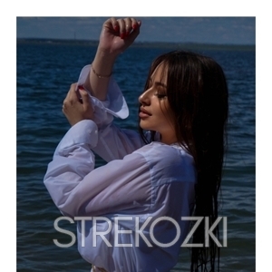 Шлюха Ника 28394