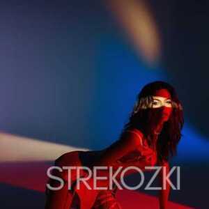 Шлюха Карина 24274