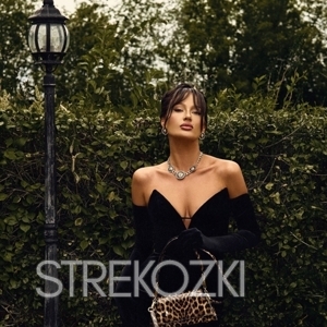 Шлюха Ника 28390