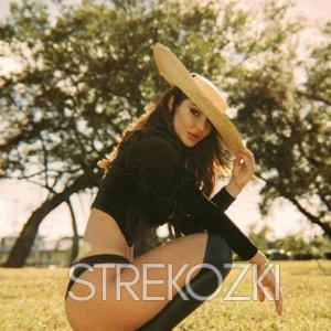 Шлюха Вика 28477