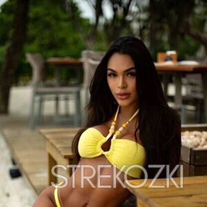 Шлюха Влада  30595