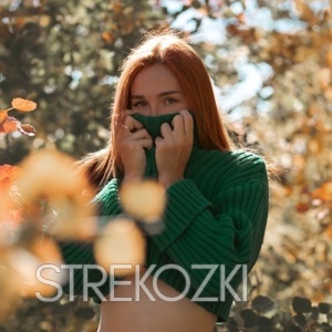 Шлюха Вика 30531