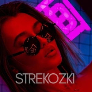 Шлюха Инга 27878