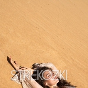 Шлюха Лика 24396