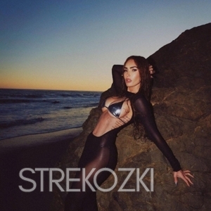 Шлюха Ника 28405