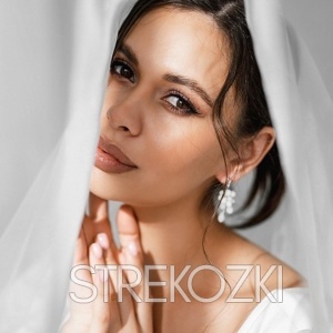 Шлюха Лика 24447