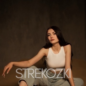 Шлюха Ника 31880