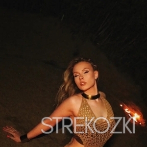 Шлюха Ника 28403