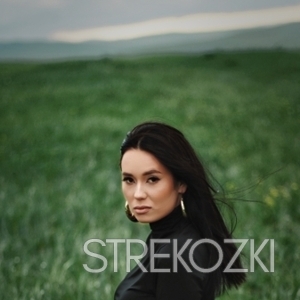 Шлюха Ника 28407