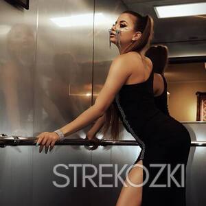 Шлюха Николь 22778