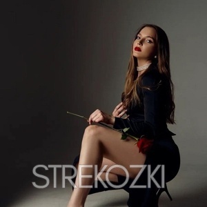 Шлюха Лена 24446