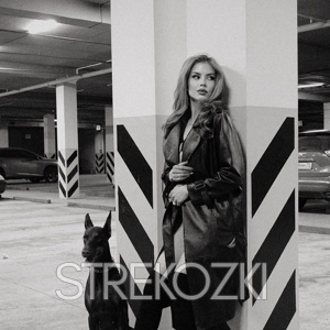 Шлюха Катя 24705