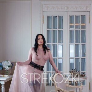 Шлюха Вероника 30761