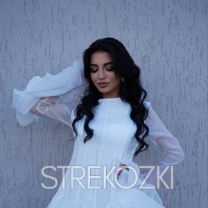 Шлюха Ника 28408