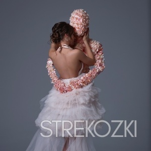 Шлюха Виолетта 28686