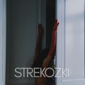 Шлюха Дарина 28600