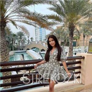 Шлюха Ника 19235