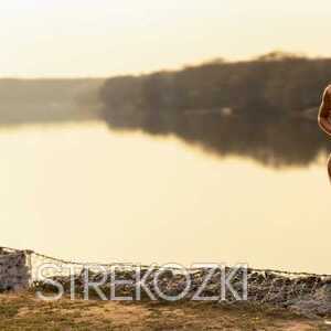 Шлюха Нелли 23244